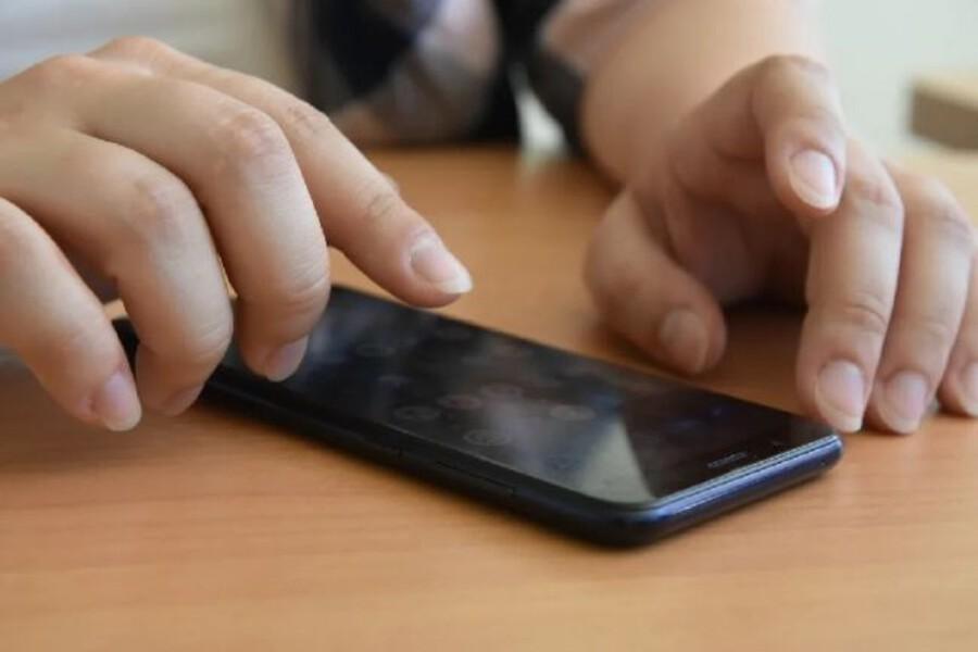 Почта, РЖД и госсайты: в Тульской области стали доступны без мобильного интернета