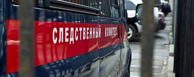 В Хабаровском крае расследуют дело о гибели двух детей, провалившихся под лед на водоеме