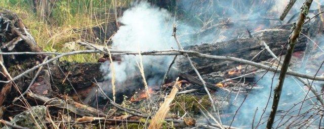 В Свердловской области за сутки произошли семь лесных пожаров