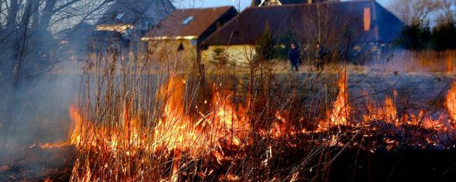 Из-за пала сухой травы под Владимиром загорелись семь сельских домов