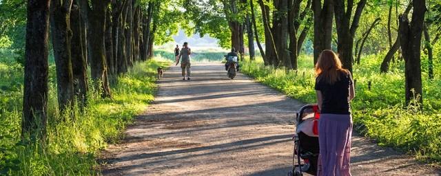 В Воронеже обустроят новый сквер на левом берегу