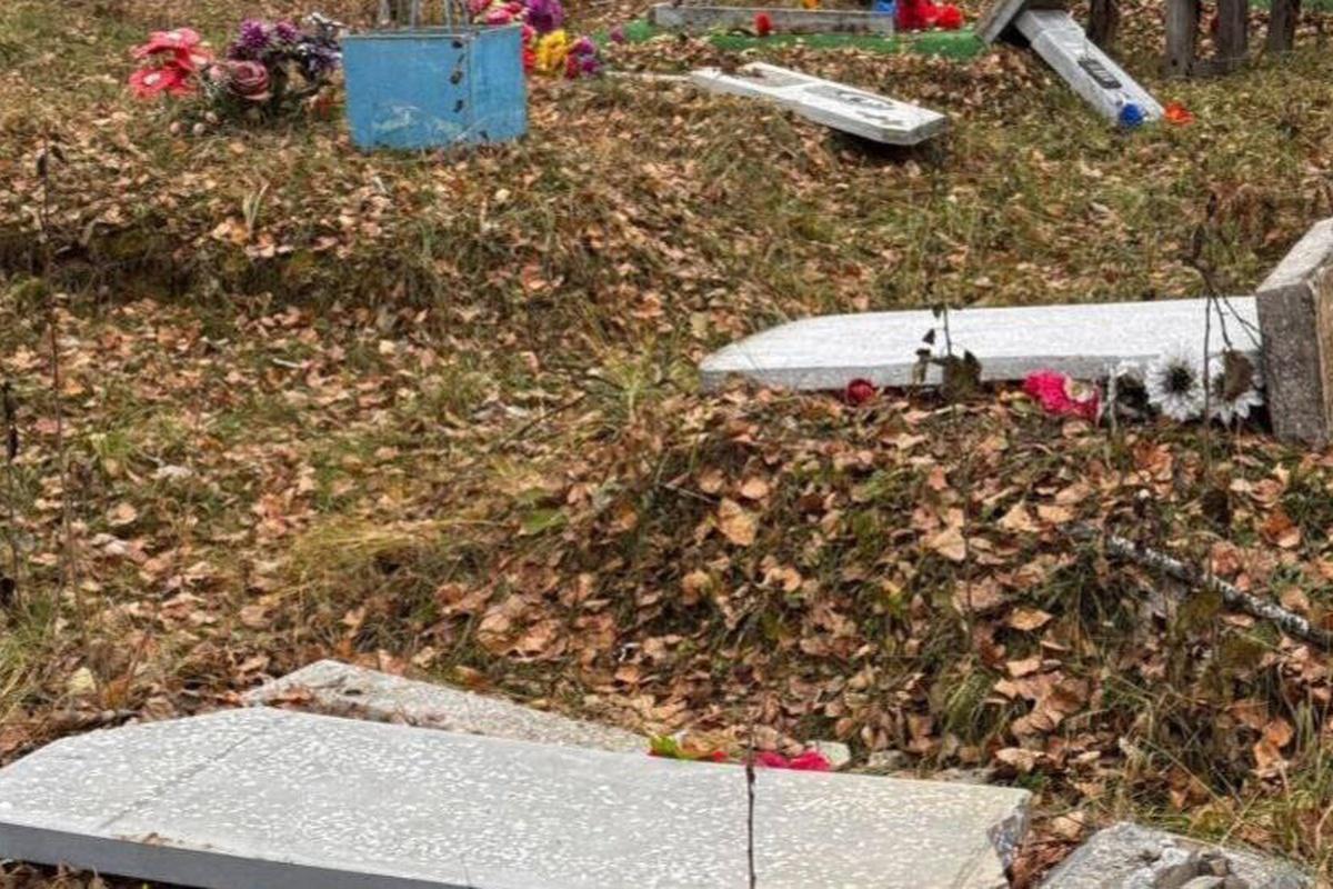 Вандалами, повалившими в Новосибирской области 80 надгробий, оказались младшеклассники