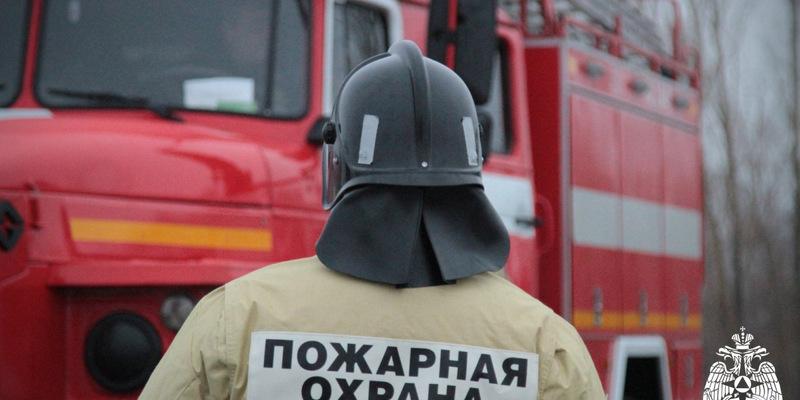 Более полусотни человек получили помощь спасателей Новосибирской области за неделю
