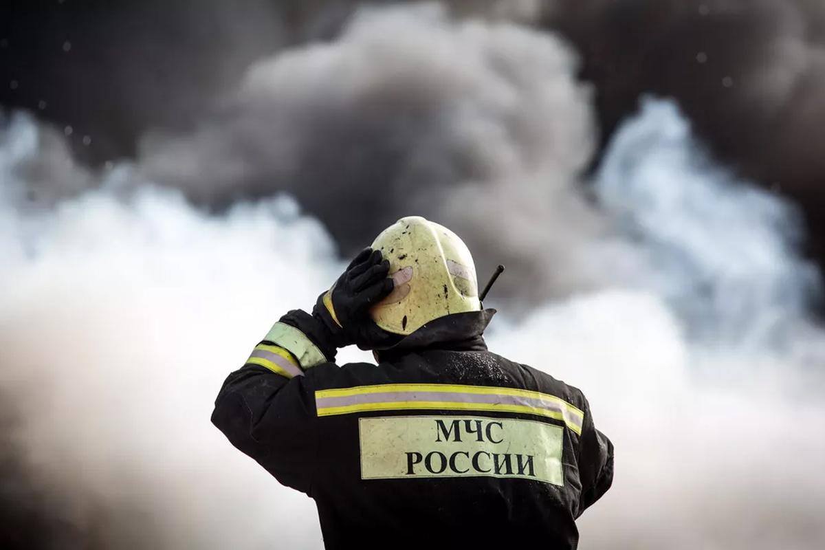 МЧС сообщило о ликвидации лесного пожара площадью 11 гектаров под Анапой