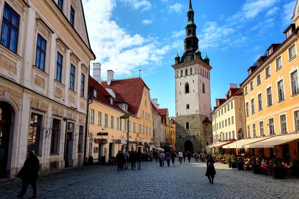 Историк допустил «удар по рукам» Эстонии в будущем