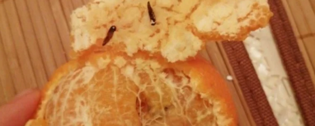 Рязанец купил в супермаркете мандарины с черными червями