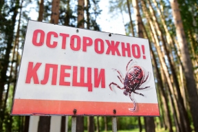 В Свердловскую область поступило около 200 тысяч доз вакцин против клещевого энцефалита