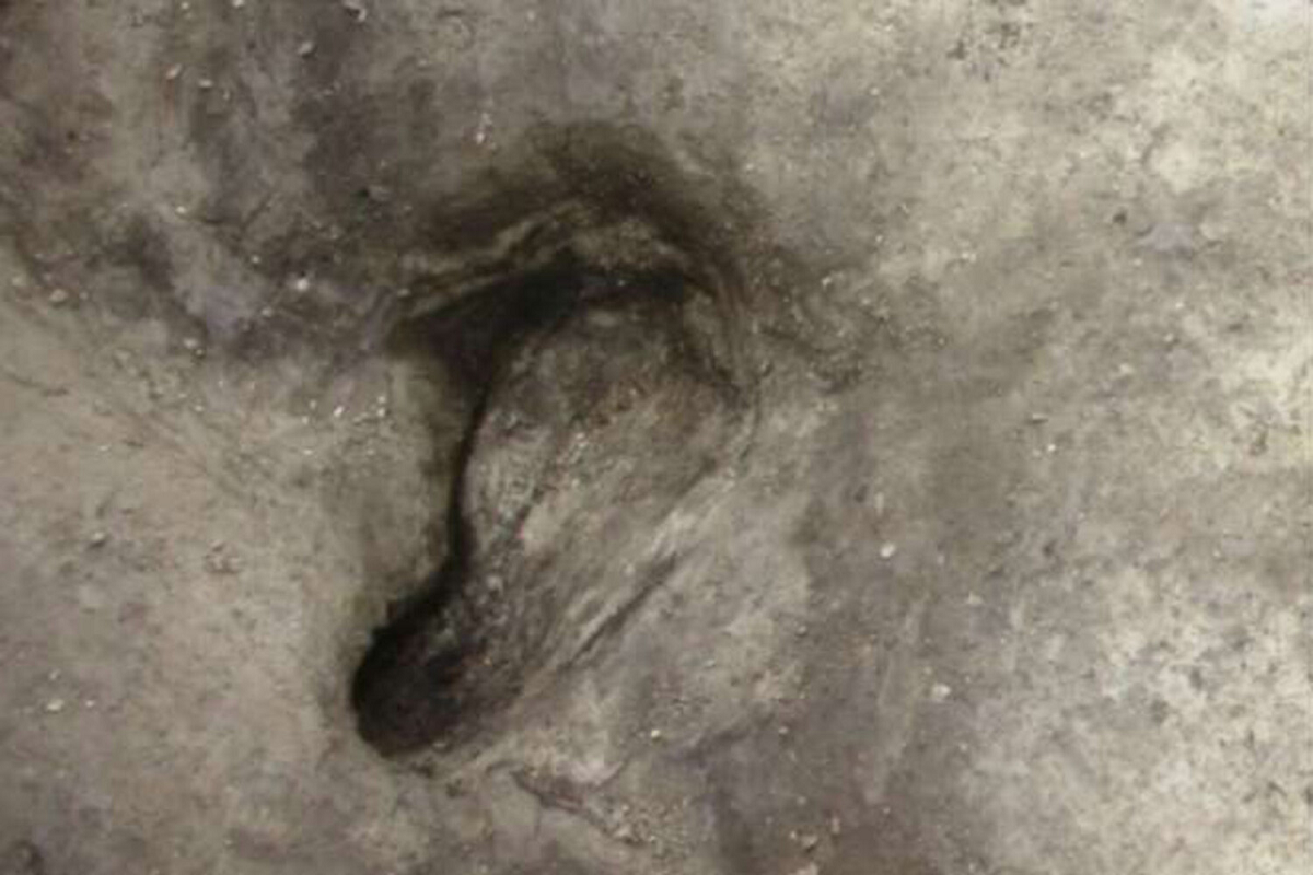На пляже в Марокко найдены 85 следов босых ног возрастом 90000 лет