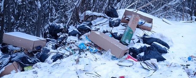 Под Кировом нашли свалку отходов с накладными сети цветочных магазинов