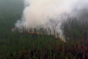 Американские ученые нашли связь между дымом от лесных пожаров и болезнями сердца