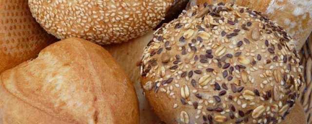 University of Florida scientists: adding vitamin D to bread boosts immunity