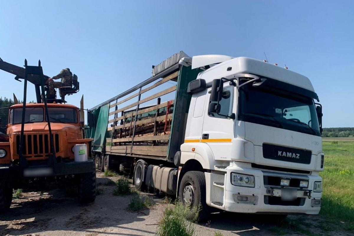 Пензенская область направила лесоматериалы для укрепления рубежей в зоне СВО