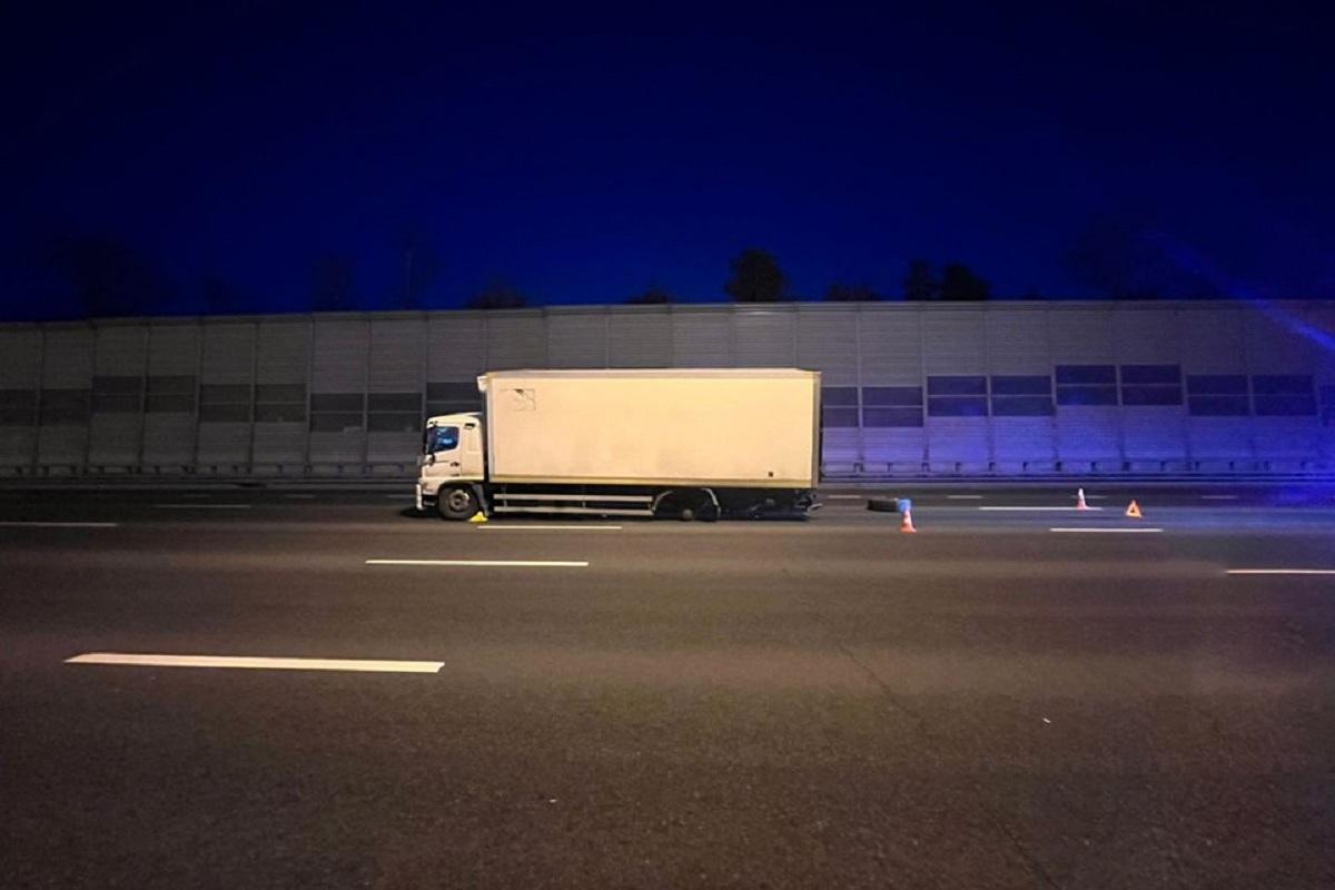 Управление МВД по Московской области, источник: тг-канал