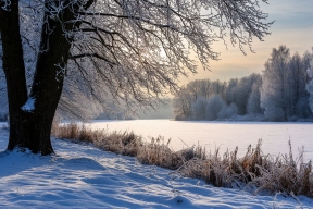 ХМАО в конце недели ждут сильные морозы