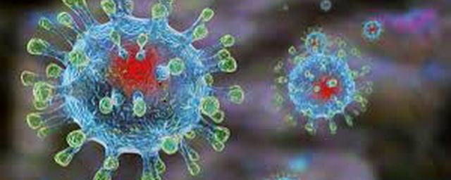 В Хакасии за сутки выявлено 83 новых случая коронавируса