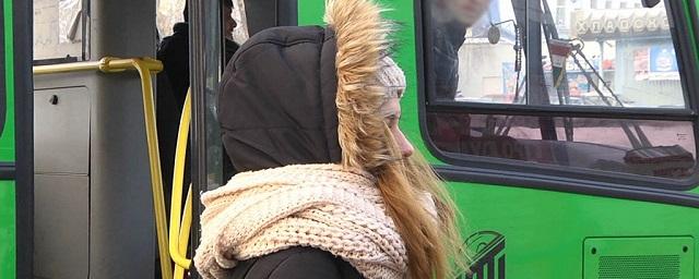 В Новосибирске девочку высадили из автобуса из-за отсутствия денег