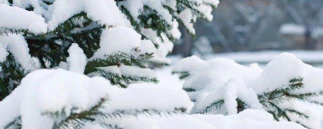 В Новосибирске ожидается сильное похолодание