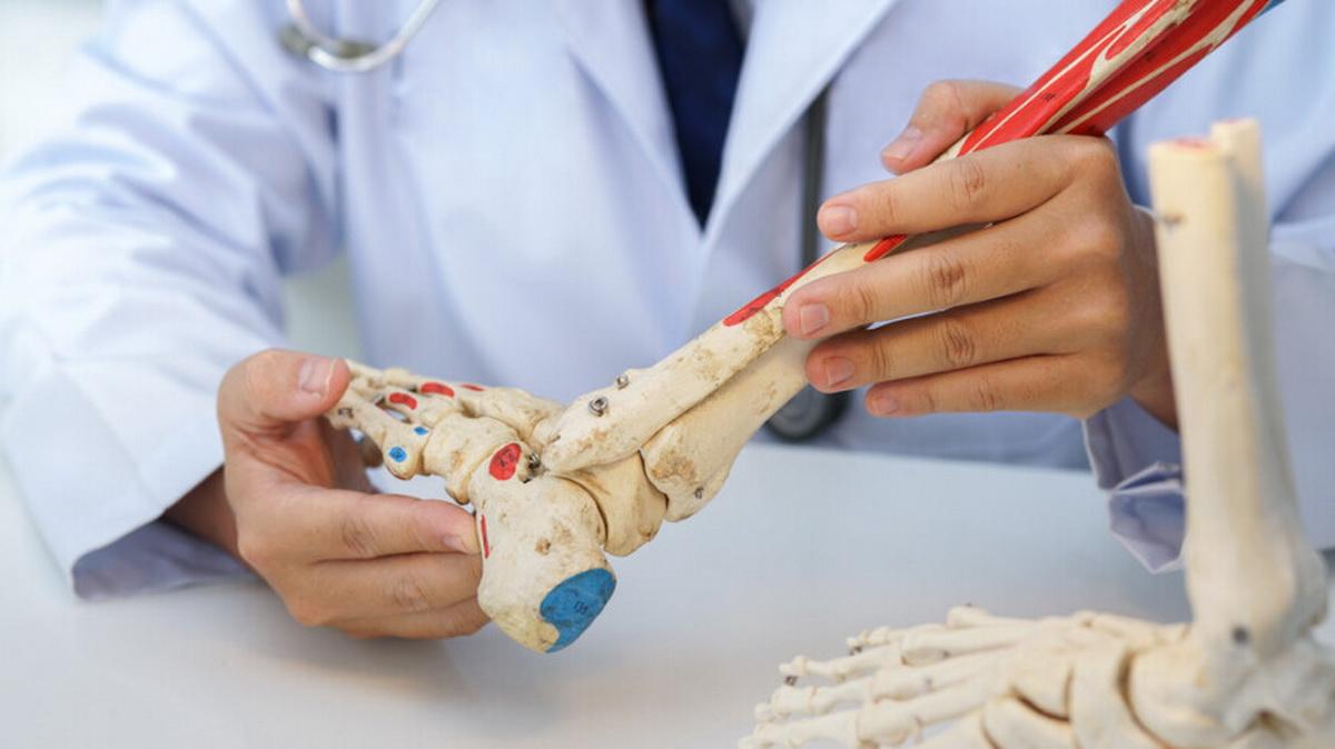 Реабилитолог Шишонин: Добавки с кальцием бесполезны для костей