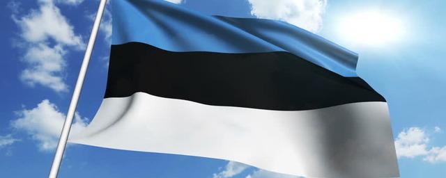 Эстонию возмутило нежелание финских властей ввести запрет на выдачу виз гражданам РФ