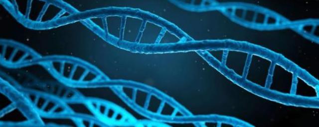 Ученые из США отследили в клетке 10 тысяч генов