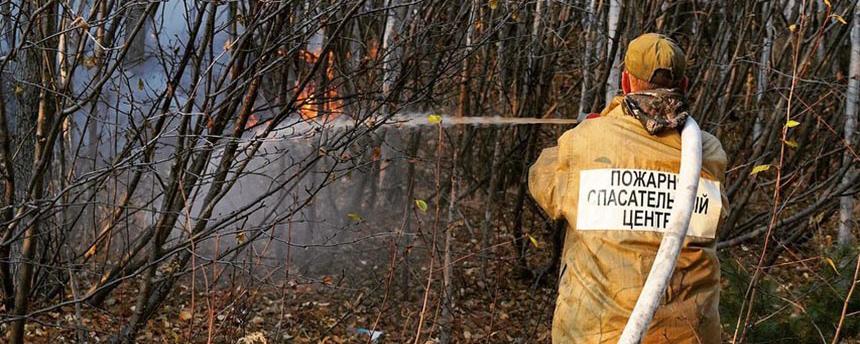 Лесной пожар около Магадана удалось ликвидировать