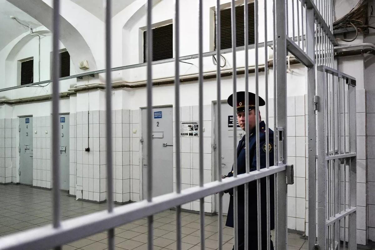 Член СПЧ Меркачева: Суды продолжают отправлять большую часть подозреваемых в СИЗО