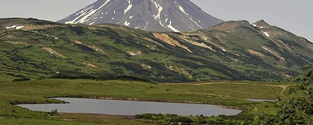 Выдача бесплатных гектаров в Приморье начнется с Ханкайского района