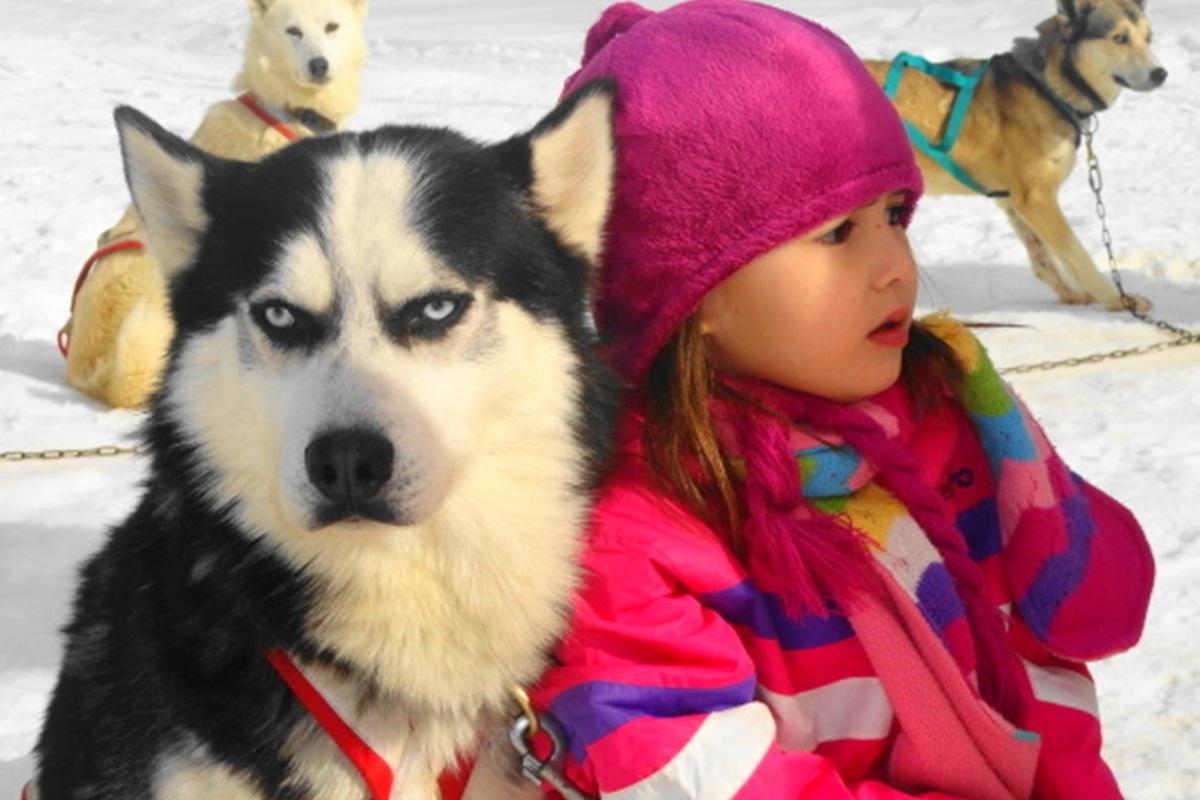 В Магадане построят хаски-парк и новые кемпинги