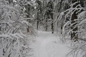В Пермском крае пропала группа туристов