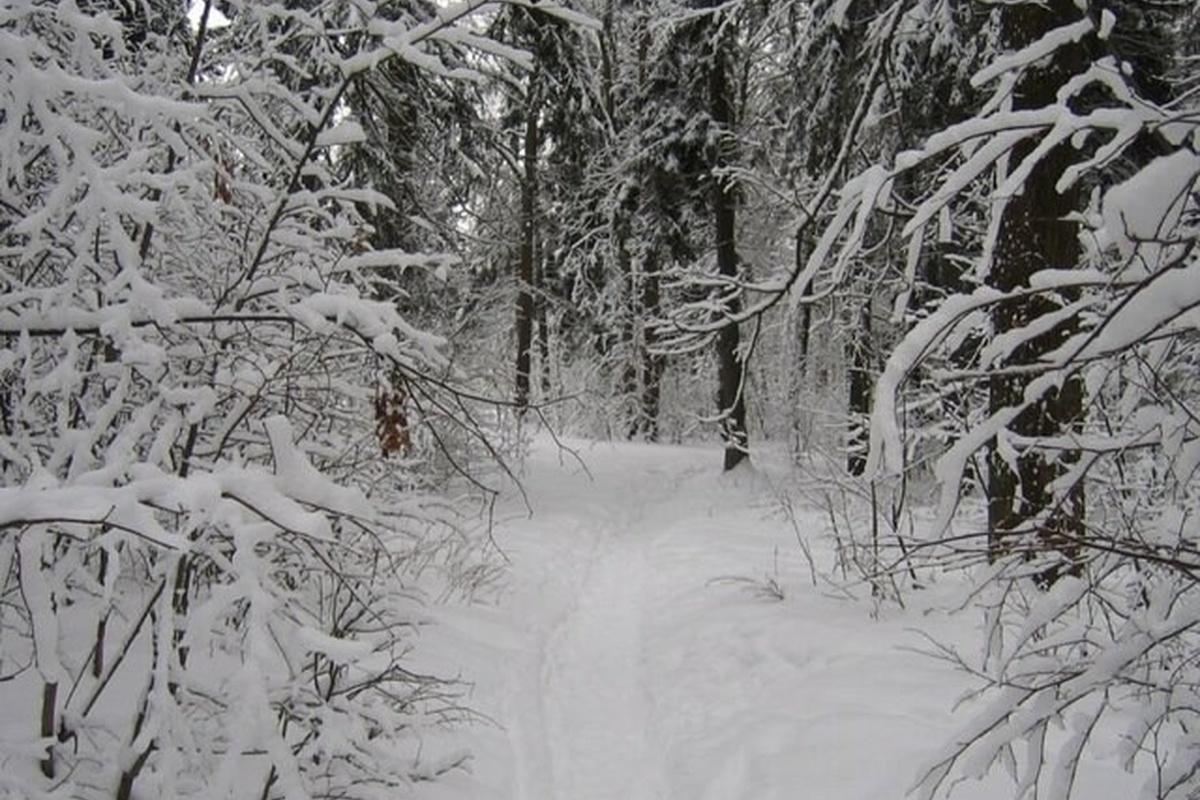 В Пермском крае пропала группа туристов