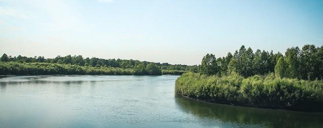 В Тулуне вода в реке Ия опустилась ниже критической отметки