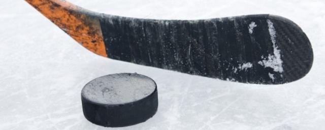 В Омске пройдет хоккейный турнир в честь Александра Попова