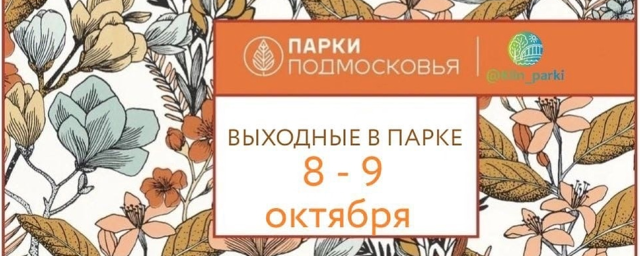 В Сестрорецком парке в Клину в выходные будут собирать пазлы и слушать лекцию о ЗОЖ