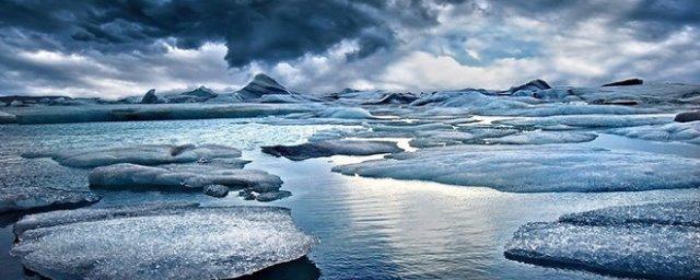 Ученые нашли в Арктике остатки растительности юрского периода
