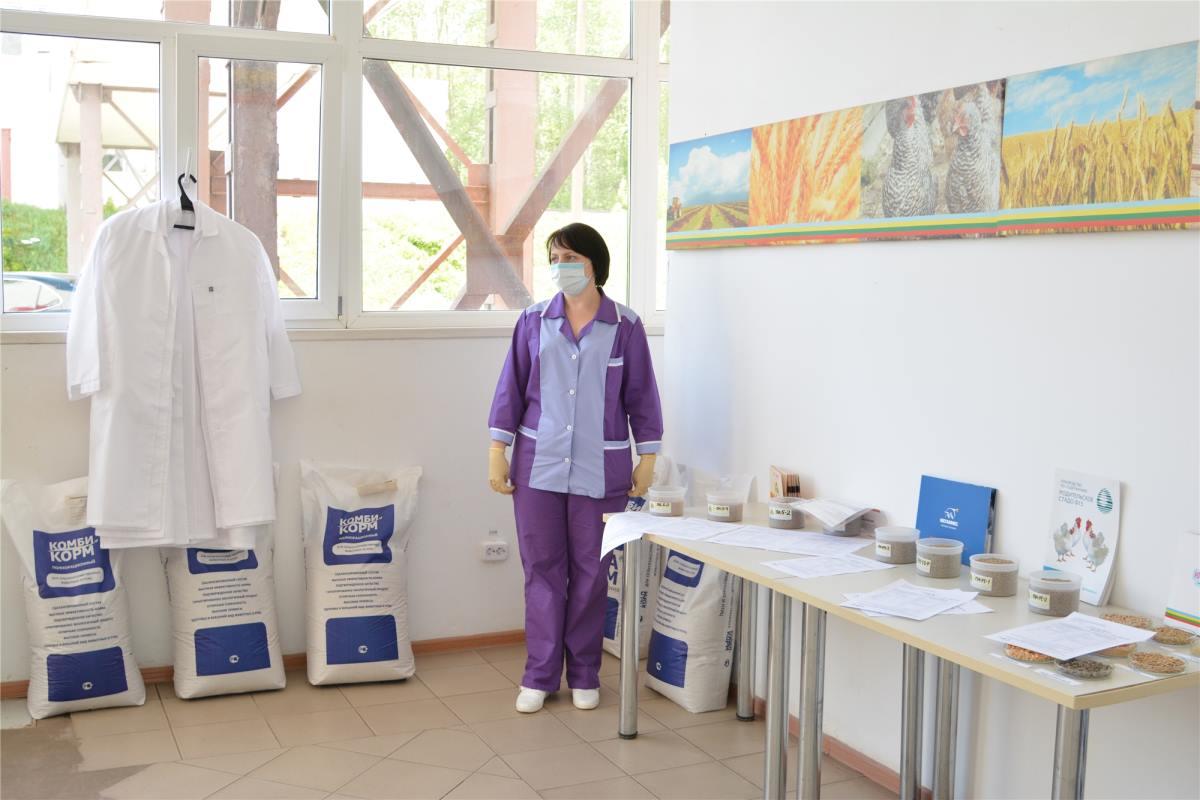 Абхазия и Казахстан лидируют по экспорту кормов для животных из Чувашии