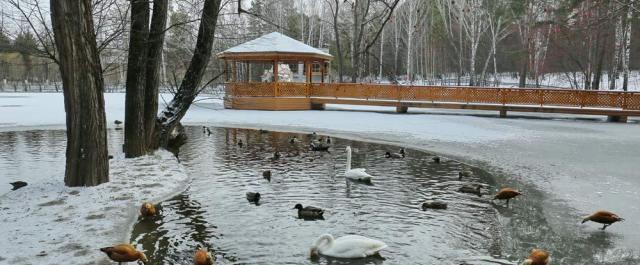 В Новосибирске зоопарк перевели на зимний режим работы