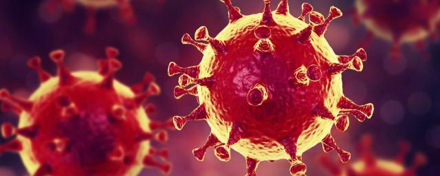 На Кубани выявлено 24 новых заболевших коронавирусом