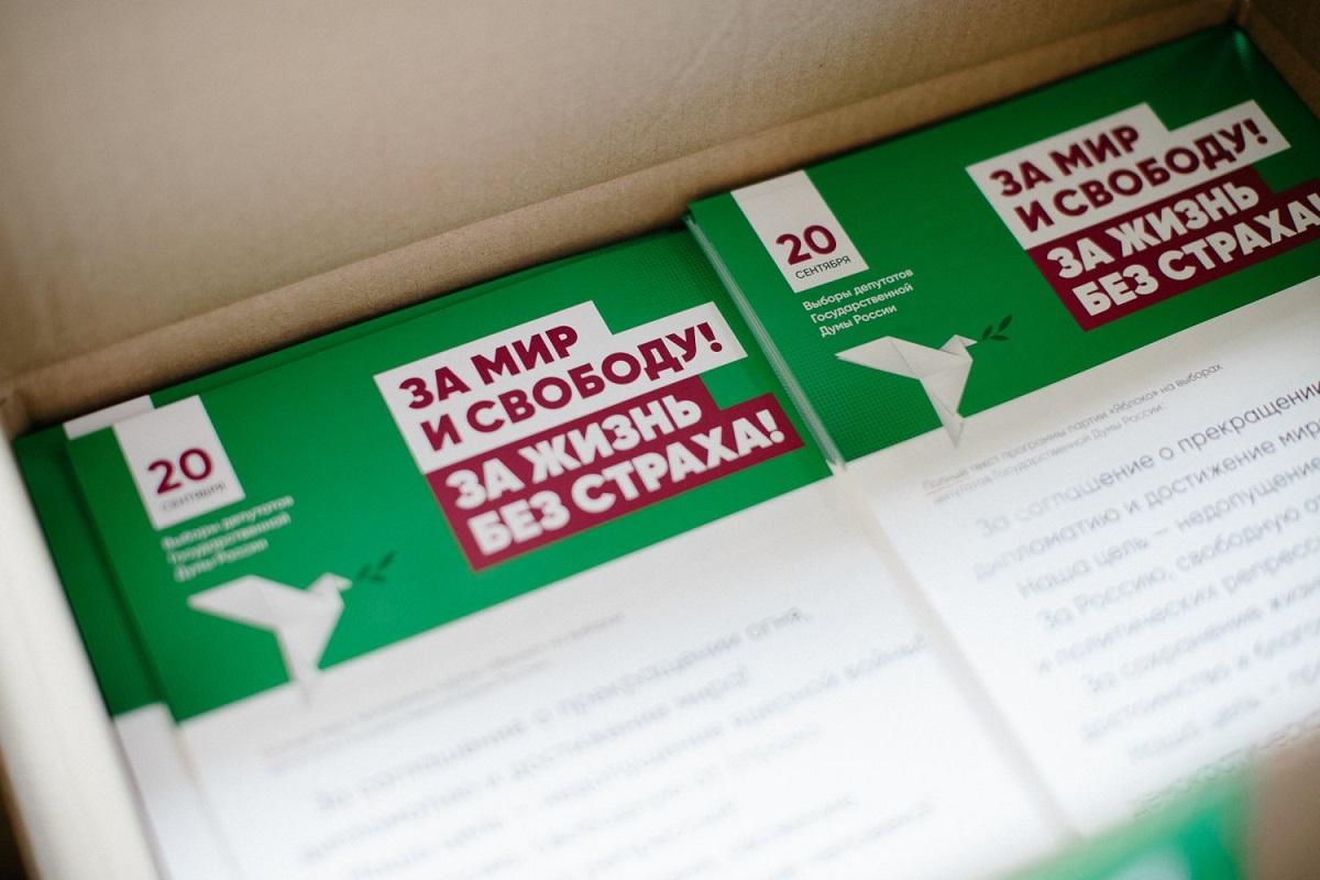 Буква «Н» из поста пятилетней давности обернулась для кандидата из партии «Яблока» протоколом