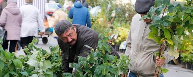 В Истре пройдет первая в этом году ярмарка «Сад-Огород»