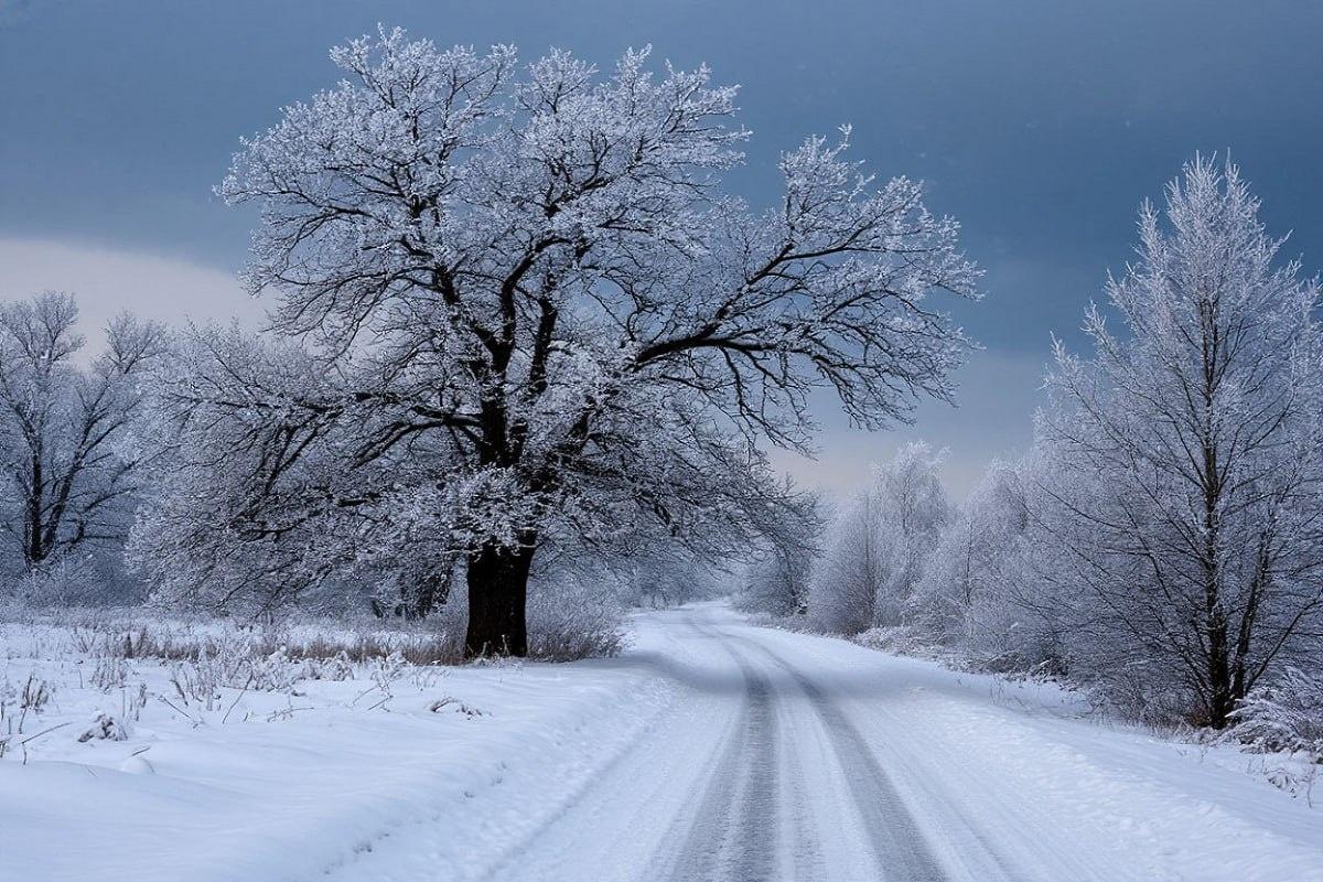 Синоптик Вильфанд рассказал об аномальном потеплении на Чукотке и в Якутии