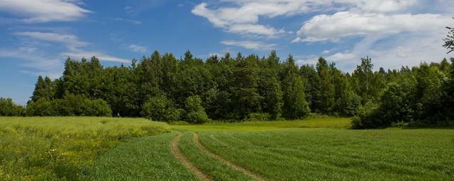 В Приморье многодетные семьи смогут получить деньги взамен земли