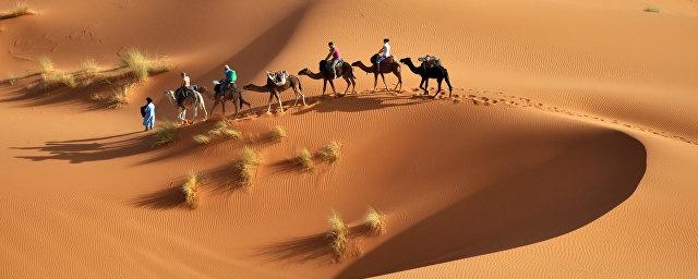 Ученые: Через 100 лет пустыня Сахара превратится в саванну