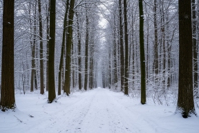 В Ханты-Мансийске обнаружили тело пропавшего 15-летнего подростка