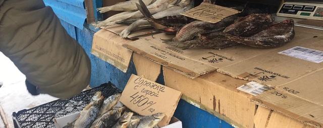 Более 120 кг речной рыбы уничтожат в Казани после рейда по точкам несанкционированной торговли