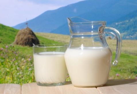 Подмосковный губернатор Воробьев анонсировал старт производства молока буйволов в регионе