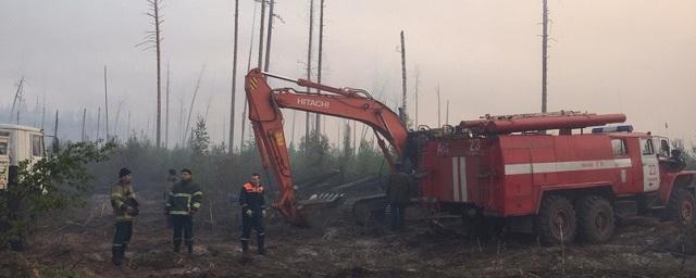 В Мордовском заповеднике возник крупный лесной пожар