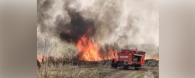 В Новосибирской области в заказнике «Кирзинский» вспыхнул пожар