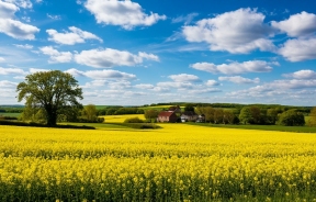 Глобальное потепление не спасает: почему майские заморозки бьют по урожаю все больнее