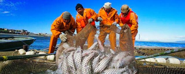 Japan called Russia's decision on sea fishing regrettable