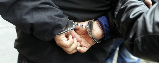 В Саранске задержан мужчина, расправившийся с дочерью сожительницы
